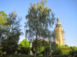 IMG_2500-bearbeitet